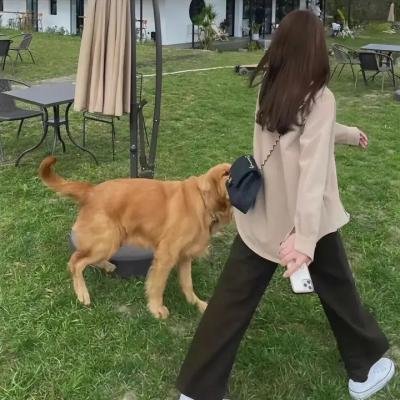 对立而已